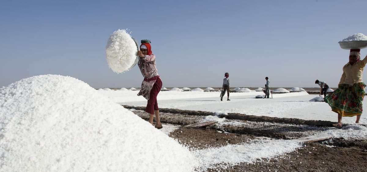 Agariya Heet-Rakshak Manch